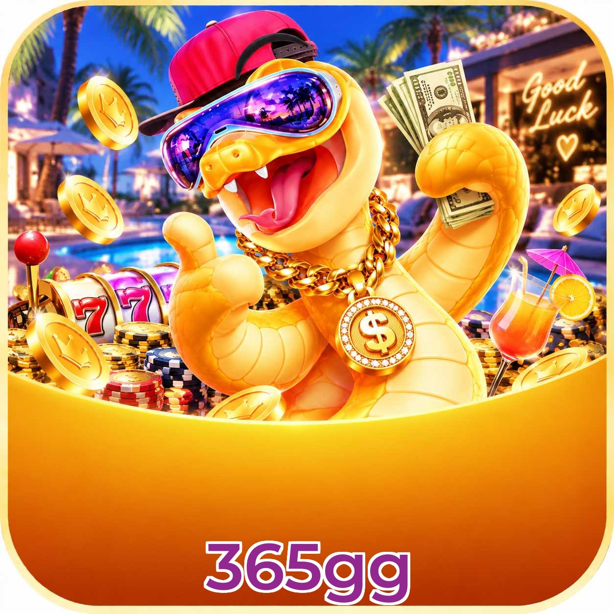 365gg Version History